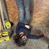 t0tallyn0t.olivia