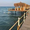 aysekemal28