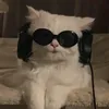 pioodesuu