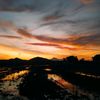triandika__