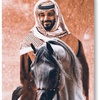 saud9906