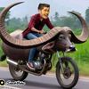 Arya Manik