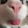 minhxdd