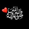 syedasheebaghani5