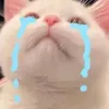 binhminh._.0515