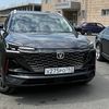 mirzoyan_222