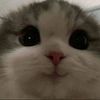 aunisyaz__