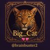 brainbuster2