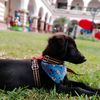miguelguerra0709