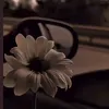 زندگی 🖤