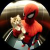 spidercatzwy