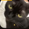 khoa_0000