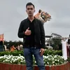 tranhoai030