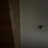 honeybitte