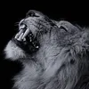 x_g4aardy