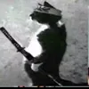 mikifahrurozi3