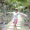 cat.somchit