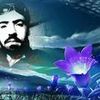 ibrahimkhanakhunzada0