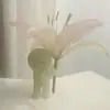 jaxzynotfound