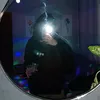 _s4nchez