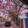 janeaparecida167
