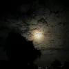 marwaalrawi68