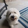 mstrnate7