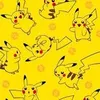 pikachu_0251