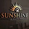 sunshinetz1
