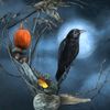 raven_wolf2