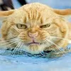 hunterlatter.com