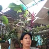 luongvanminh6