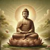 kimdung19951