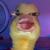 kloerixie