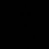 xpaziita