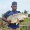. cakman