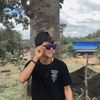 ozall