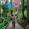 liannita10