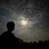 dailuong38
