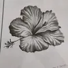 johncboratago
