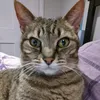 bunnyboo439