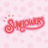 shopsunflowers