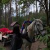 evalitvinova337