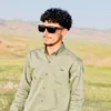 shahram_majed