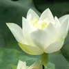 user79140706