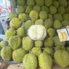 phanduong936