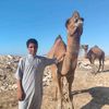 user082441757