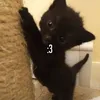 suckmmfd_