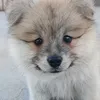 yuriboy021025