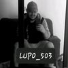 lupo_es503